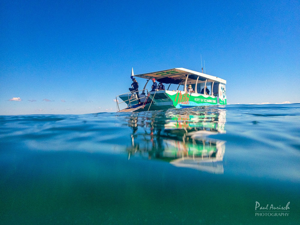 Why These Incredible Hervey Bay Tours are Best for Groups