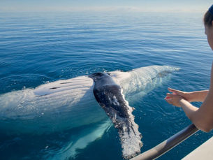 Hidden Gems of Hervey Bay and K'gari (Fraser Isl)