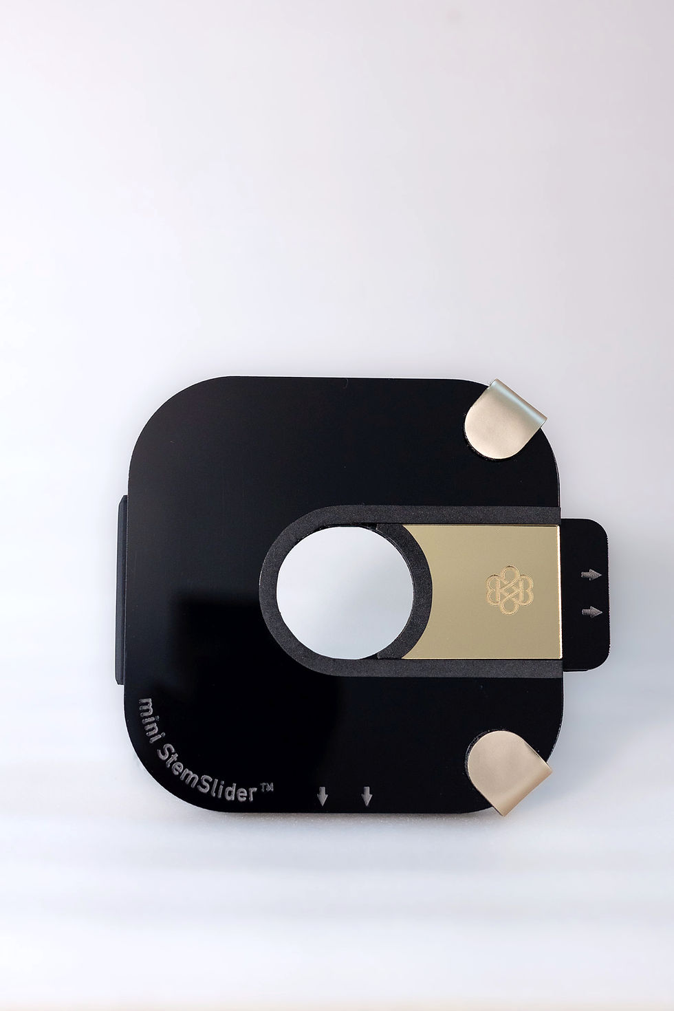 الصورة المصغرة: mini-StemSlider System with a  Metal Flower Frog