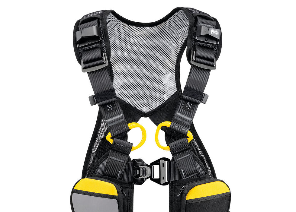 Thumbnail: NEWTON EASYFIT