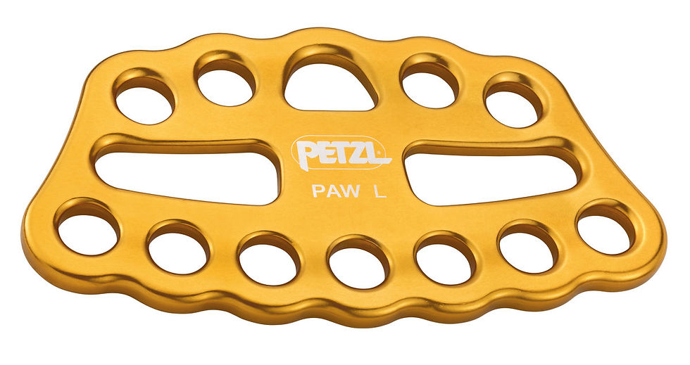 Thumbnail: copy of PAW
