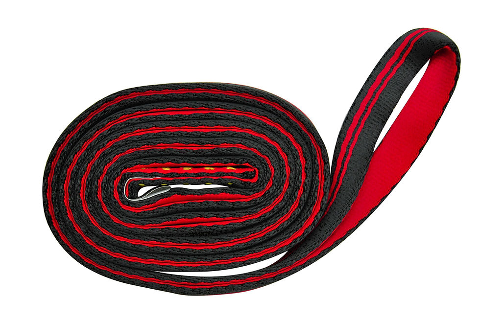 الصورة المصغرة: ARO SLING TUBULAR