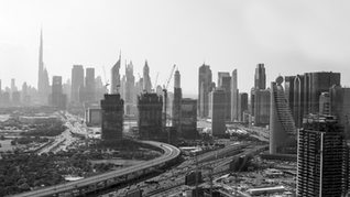 Emerging Trends in the 2025 Dubai Real Estate Market Insights from 2024