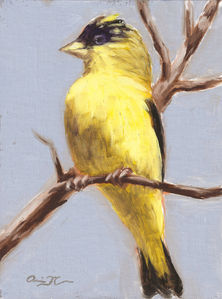 original authentic hand made oil painting goldfinch bird perched in a tree realistic
