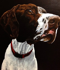 Pointer.oil.jpg