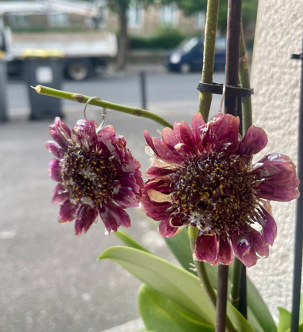 Thumbnail: SET “FLOWER CORE ZAIRIEL” 🌸