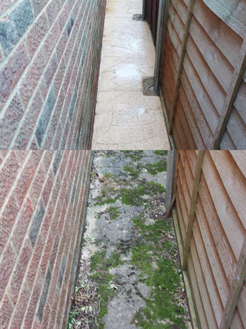 Collage 2022-01-27 09_37_05.jpg