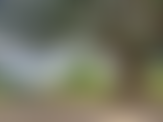 【ウガンダの日常】想像と違ったシンプルな教会