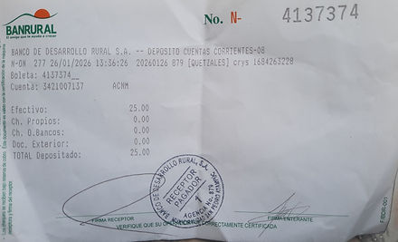 Ejemplo Boleta.jpg