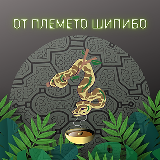 Племе Шипибо, Шипибо Племето