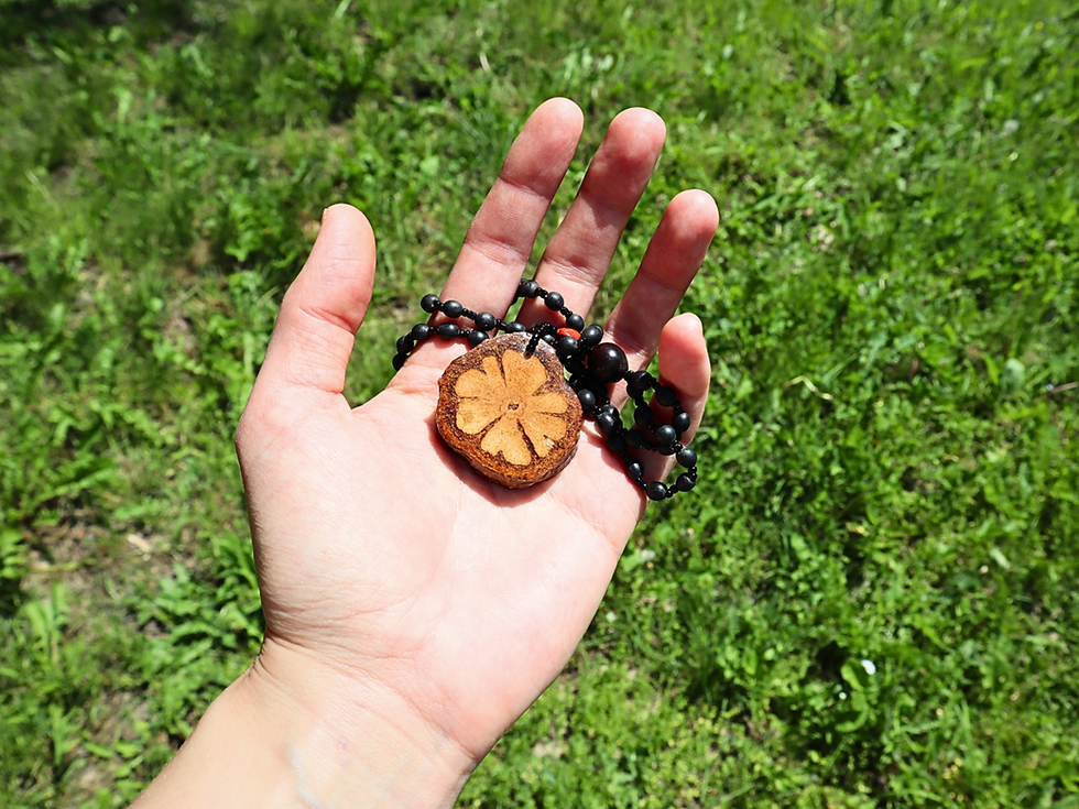 Миниатюра: Shipibo Ayahuasca Vine Necklace with Huayruro Seeds and Glass Beads