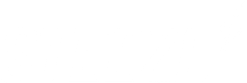 steeze2 (2).png