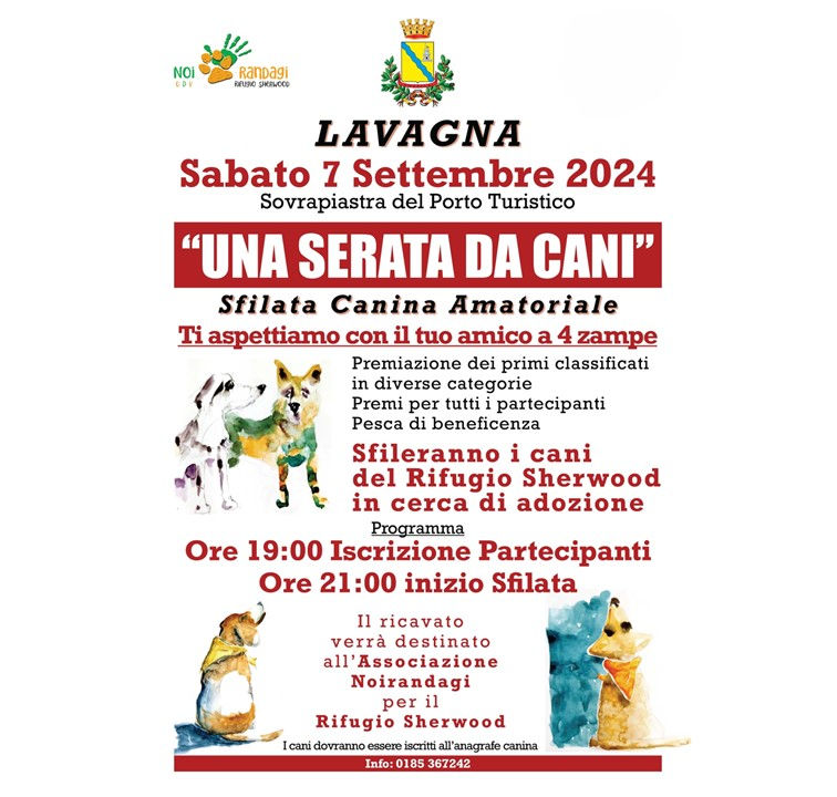 Una serata da cani