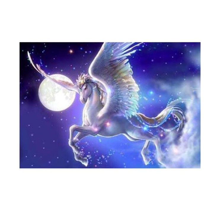 Osservazioni astronomiche