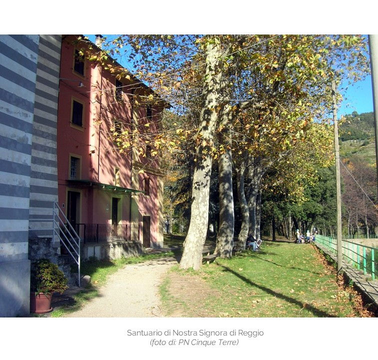 Plogging I Luoghi dell'Anima - Santuario della Madonna di Reggio