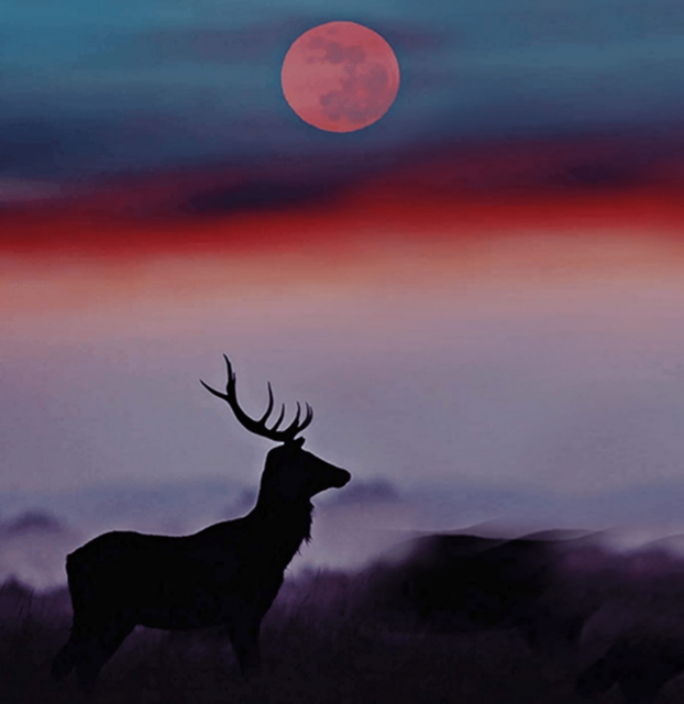 Osservazioni astronomiche