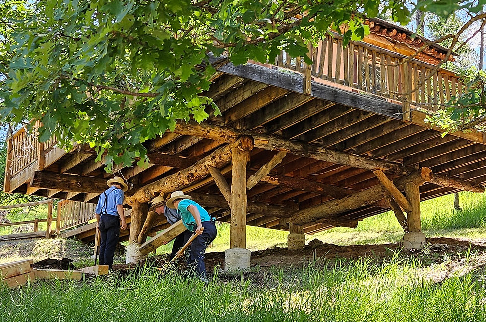 Tree House, Better Than New.