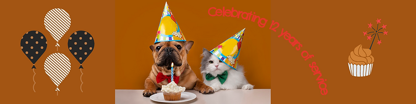 Etsy Shop Big Banner (1).png