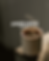 W3.png