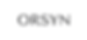 logo ORSYN.png