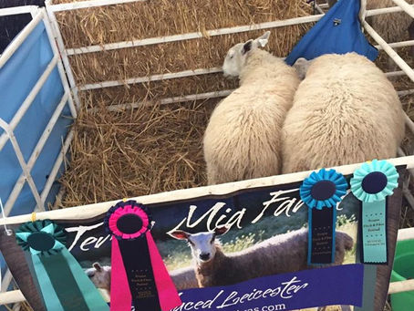 Oregon Flock and Fiber Festival (OFFF)