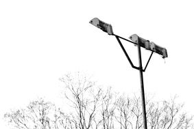 DSC_0251 (2).jpg