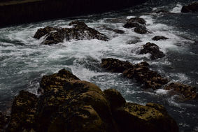 DSC_0744.JPG