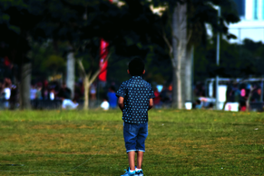 DSC_0407a.png