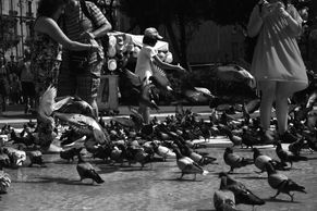 DSC_0294a.jpg