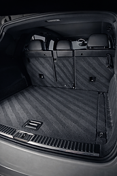 Pet hair removal from vehicle carpets 