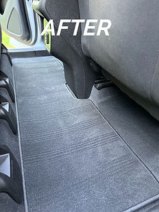 pet hair car interior removal 