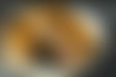 Uncovering the Untold Stories of Regional Patty Melts: A Culinary Adventure