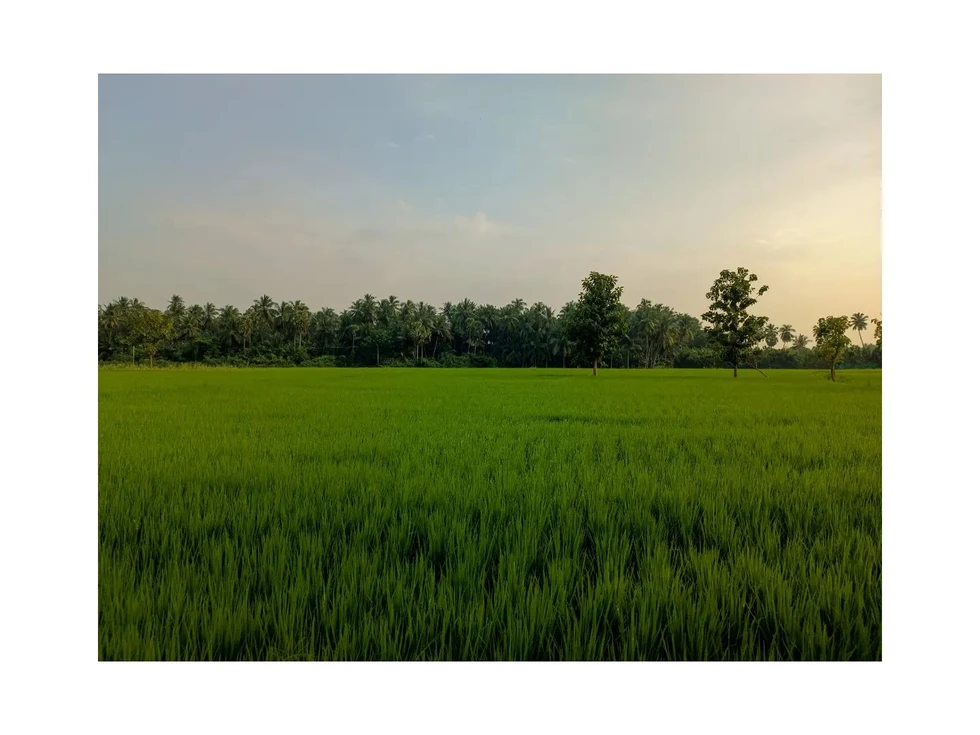 sharetalents-giri-yaswanth-459-2.webp