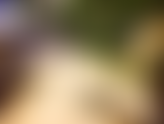 Cultivate a Positive Mindset During the Holiday Season