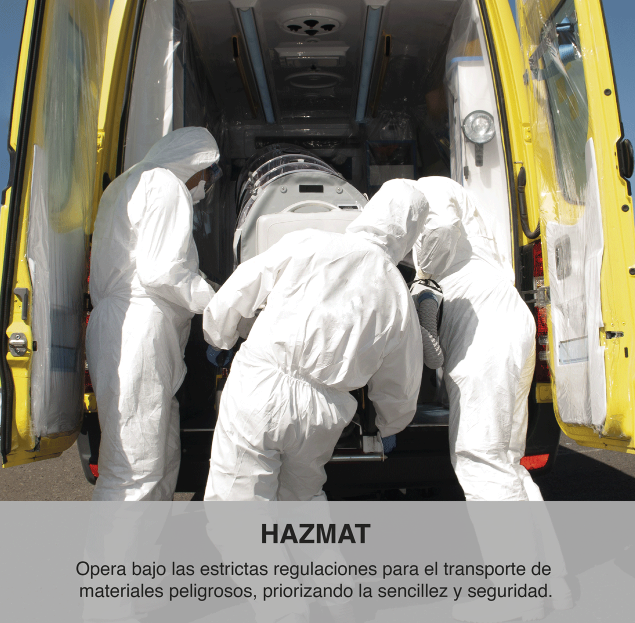 SERVICIOS-02.gif