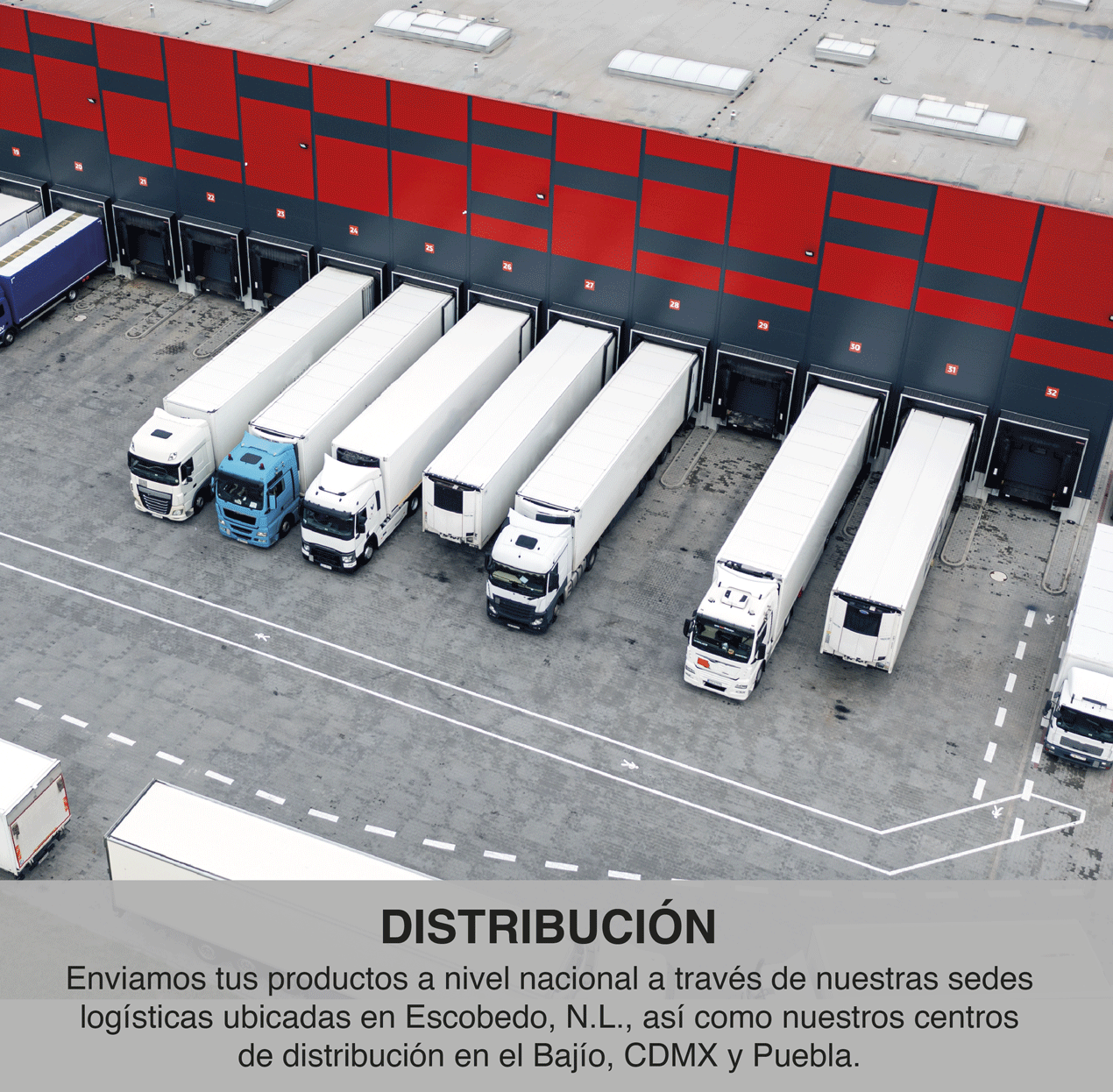SERVICIOS-04.gif