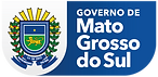 Governo MS
