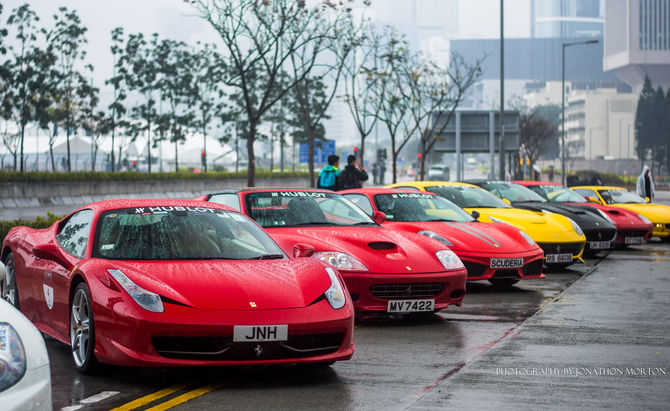 Exotics of Hong Kong