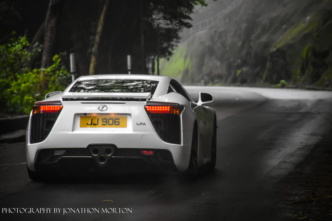 Exotics of Hong Kong