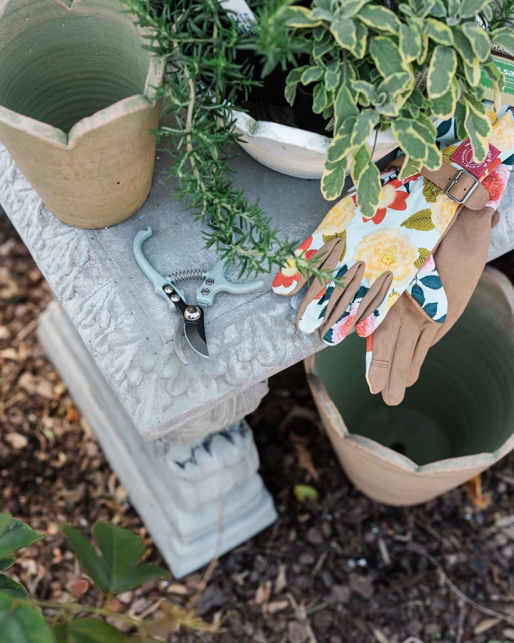 Master Class: Pruning | FREE