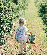 pick_your_own__blackberries_blueberries_beatificvisionsphotography.jpg