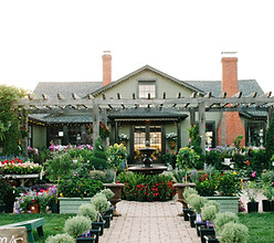 Themarketatgrelen_plantnurseryandgardenshop_centralvirginia.jpg