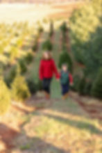 Holiday Mini Photo Session