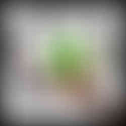 thumbnail image showing example of digital back to school activity cards