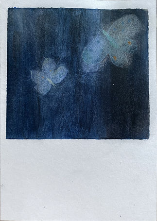 Un piccolo pezzo di carta che nel formato ricorda una polaroid. È un dipinto a olio: raffigura due falene azzurrine, quasi trasparenti nel buio notturno.
