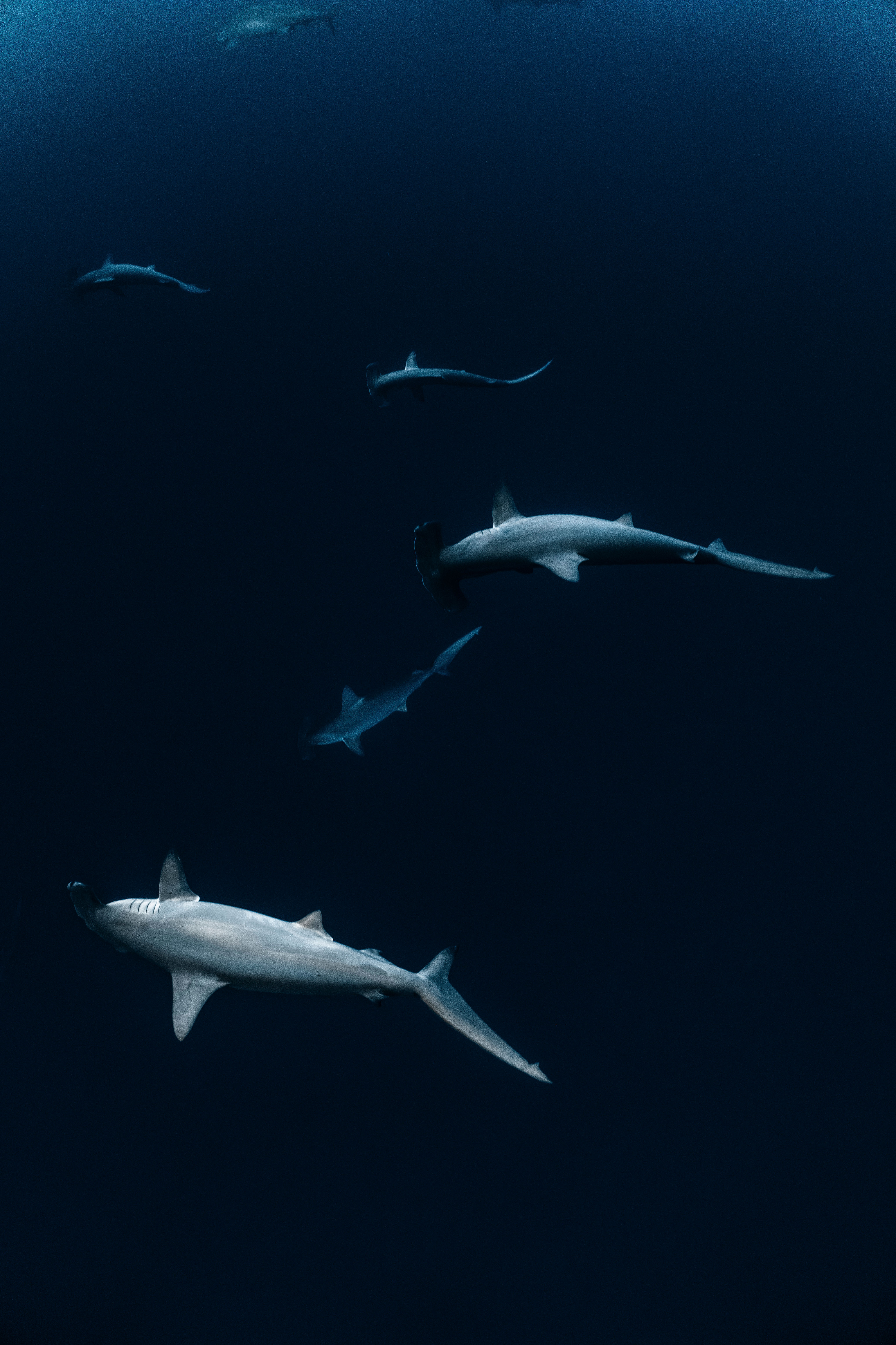Ghosts of Yonaguni