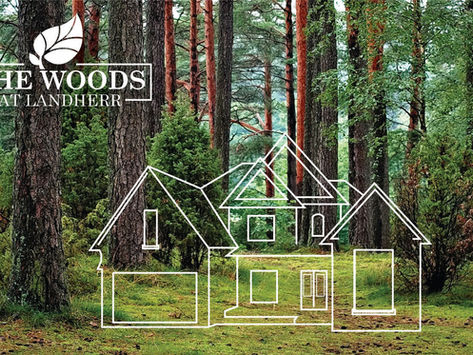 Building Custom Homes, with Lots Backing Up to Blackacre!