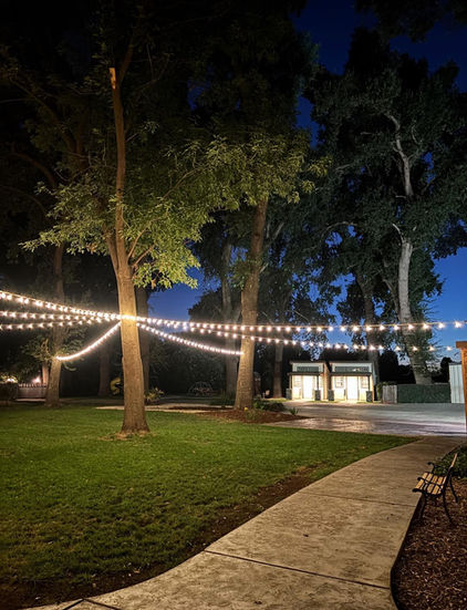 Path and trees lit by string lights at night