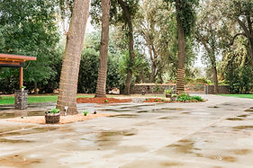 Wet paved entrance to a property with tall trees