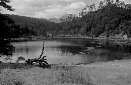 lago - copia.jpg